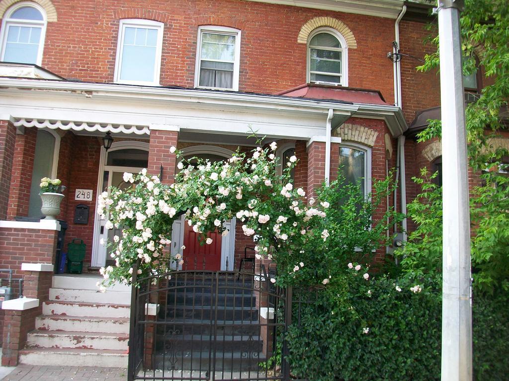 Comfy Guesthouse & Suite Toronto Exterior photo